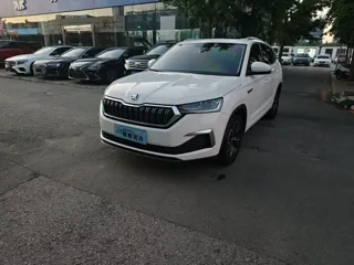 Skoda Kamiq 2021 купить из Китая, цена 1 513 000 ₽ — Suifenhe Auto