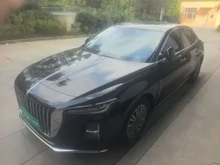 Hongqi H5 2024 купить из Китая, цена 3 005 000 ₽ — Suifenhe Auto