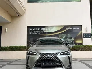 Lexus UX 2024 купить из Китая, цена 3 715 000 ₽ — Suifenhe Auto