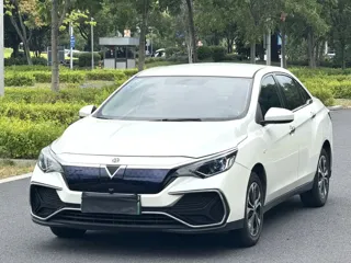 Venucia D60EV 2022
