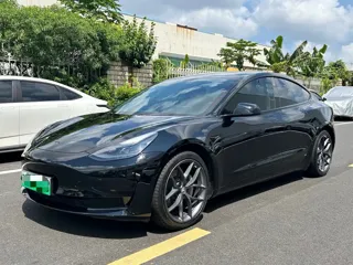 Tesla Model 3 2021 купить из Китая, цена 4 640 000 ₽ — Suifenhe Auto