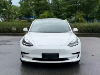 Tesla Model 3 2020 купить из Китая, цена 3 925 000 ₽ — Suifenhe Auto