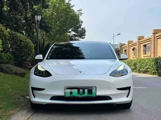 Tesla Model 3 2021 купить из Китая, цена 4 382 000 ₽ — Suifenhe Auto