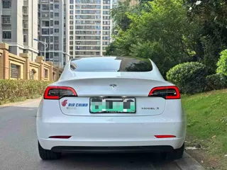 Tesla Model 3 2021 купить из Китая, цена 4 382 000 ₽ — Suifenhe Auto