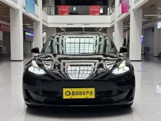 Tesla Model 3 2022 купить из Китая, цена 4 655 000 ₽ — Suifenhe Auto