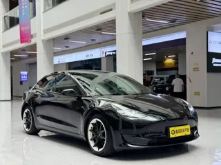 Tesla Model 3 2022 купить из Китая, цена 4 655 000 ₽ — Suifenhe Auto