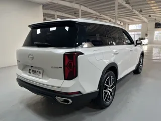 GAC Trumpchi GS8 2024 купить из Китая, цена 4 030 000 ₽ — Suifenhe Auto