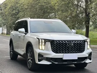 GAC Trumpchi GS8 2025 купить из Китая, цена 4 056 000 ₽ — Suifenhe Auto