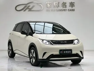 BYD Dolphin 2026 купить из Китая, цена 1 692 000 ₽ — Suifenhe Auto