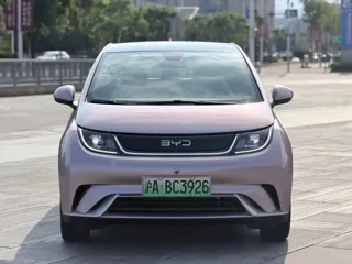 BYD Dolphin 2022 купить из Китая, цена 1 294 000 ₽ — Suifenhe Auto