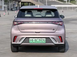 BYD Dolphin 2022 купить из Китая, цена 1 294 000 ₽ — Suifenhe Auto