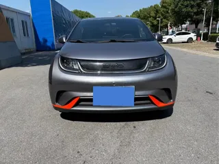 BYD Dolphin 2023 купить из Китая, цена 1 330 000 ₽ — Suifenhe Auto