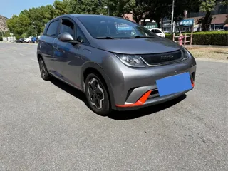 BYD Dolphin 2023 купить из Китая, цена 1 330 000 ₽ — Suifenhe Auto