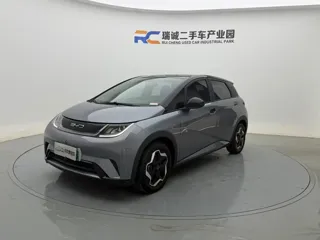 BYD Dolphin 2022 купить из Китая, цена 1 367 000 ₽ — Suifenhe Auto