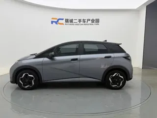 BYD Dolphin 2022 купить из Китая, цена 1 367 000 ₽ — Suifenhe Auto