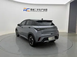BYD Dolphin 2022 купить из Китая, цена 1 367 000 ₽ — Suifenhe Auto