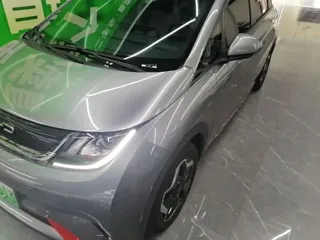 BYD Dolphin 2022 купить из Китая, цена 1 263 000 ₽ — Suifenhe Auto