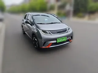 BYD Dolphin 2022 купить из Китая, цена 1 263 000 ₽ — Suifenhe Auto