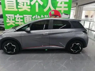 BYD Dolphin 2022 купить из Китая, цена 1 263 000 ₽ — Suifenhe Auto