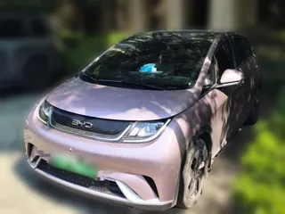 BYD Dolphin 2024 купить из Китая, цена 1 490 000 ₽ — Suifenhe Auto
