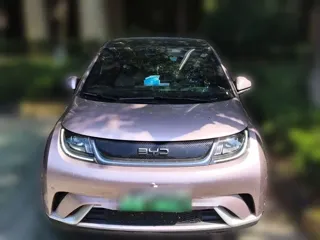 BYD Dolphin 2024 купить из Китая, цена 1 490 000 ₽ — Suifenhe Auto