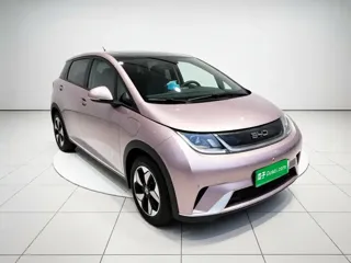 BYD Dolphin 2024 купить из Китая, цена 1 490 000 ₽ — Suifenhe Auto