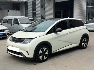 BYD Dolphin 2024 купить из Китая, цена 1 601 000 ₽ — Suifenhe Auto