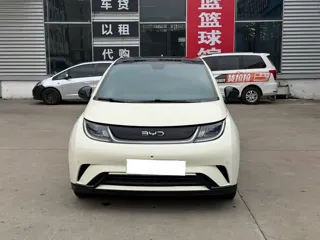 BYD Dolphin 2024 купить из Китая, цена 1 601 000 ₽ — Suifenhe Auto
