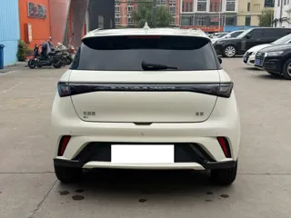 BYD Dolphin 2024 купить из Китая, цена 1 601 000 ₽ — Suifenhe Auto