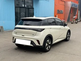 BYD Dolphin 2024 купить из Китая, цена 1 601 000 ₽ — Suifenhe Auto