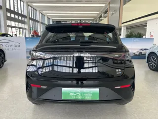 BYD Dolphin 2025 купить из Китая, цена 2 997 000 ₽ — Suifenhe Auto