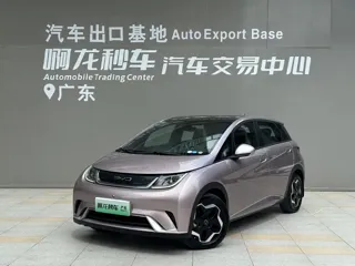 BYD Dolphin 2022 купить из Китая, цена 1 476 000 ₽ — Suifenhe Auto