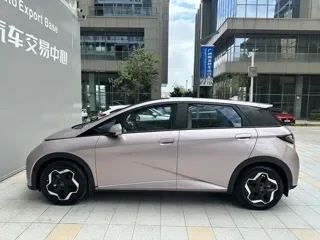 BYD Dolphin 2022 купить из Китая, цена 1 476 000 ₽ — Suifenhe Auto