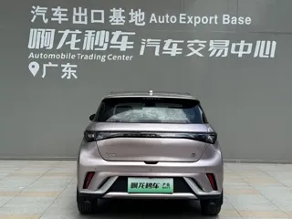 BYD Dolphin 2022 купить из Китая, цена 1 476 000 ₽ — Suifenhe Auto
