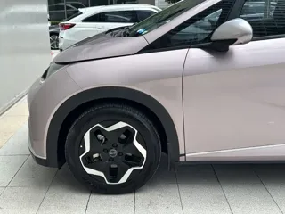 BYD Dolphin 2022 купить из Китая, цена 1 476 000 ₽ — Suifenhe Auto