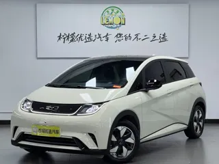 BYD Dolphin 2024 купить из Китая, цена 1 637 000 ₽ — Suifenhe Auto