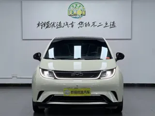 BYD Dolphin 2024 купить из Китая, цена 1 637 000 ₽ — Suifenhe Auto