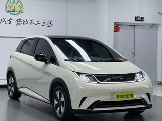 BYD Dolphin 2024 купить из Китая, цена 1 637 000 ₽ — Suifenhe Auto