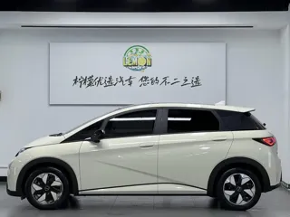 BYD Dolphin 2024 купить из Китая, цена 1 637 000 ₽ — Suifenhe Auto