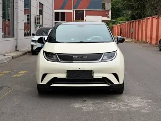 BYD Dolphin 2024 купить из Китая, цена 1 656 000 ₽ — Suifenhe Auto