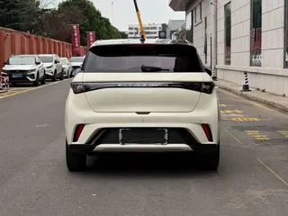 BYD Dolphin 2024 купить из Китая, цена 1 656 000 ₽ — Suifenhe Auto