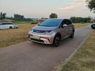 BYD Dolphin 2024 купить из Китая, цена 1 476 000 ₽ — Suifenhe Auto