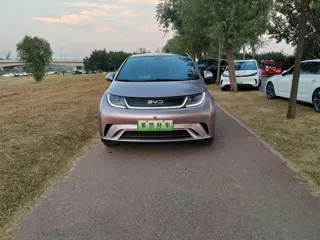 BYD Dolphin 2024 купить из Китая, цена 1 476 000 ₽ — Suifenhe Auto