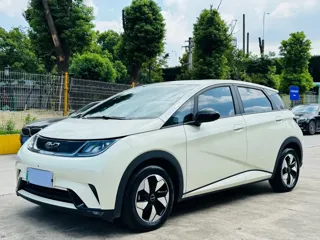 BYD Dolphin 2025 купить из Китая, цена 1 656 000 ₽ — Suifenhe Auto