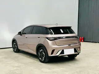 BYD Dolphin 2023 купить из Китая, цена 1 585 000 ₽ — Suifenhe Auto