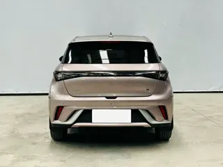 BYD Dolphin 2023 купить из Китая, цена 1 585 000 ₽ — Suifenhe Auto