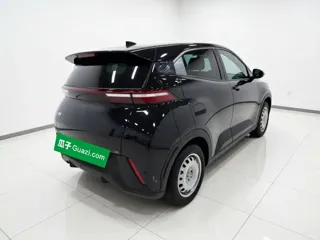 BYD Seagull 2024 купить из Китая, цена 1 252 000 ₽ — Suifenhe Auto