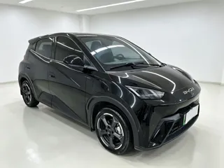 BYD Seagull 2023 купить из Китая, цена 1 367 000 ₽ — Suifenhe Auto