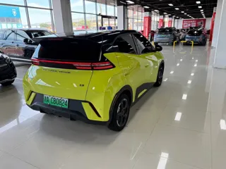 BYD Seagull 2023 купить из Китая, цена 1 238 000 ₽ — Suifenhe Auto