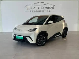 BYD Seagull 2023 купить из Китая, цена 1 367 000 ₽ — Suifenhe Auto
